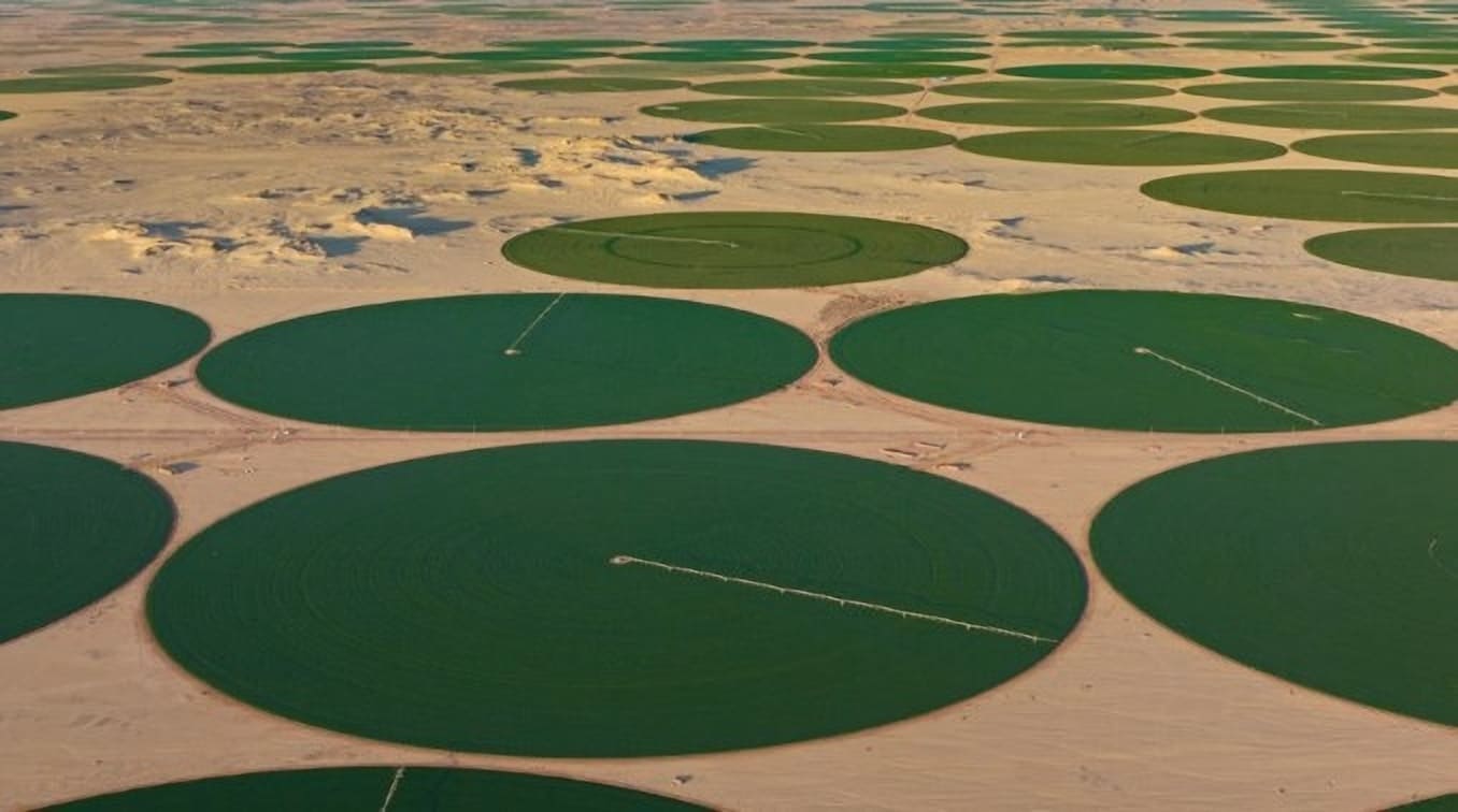 Al Dahra transforms supply chain planning into a transparent and collaborative process